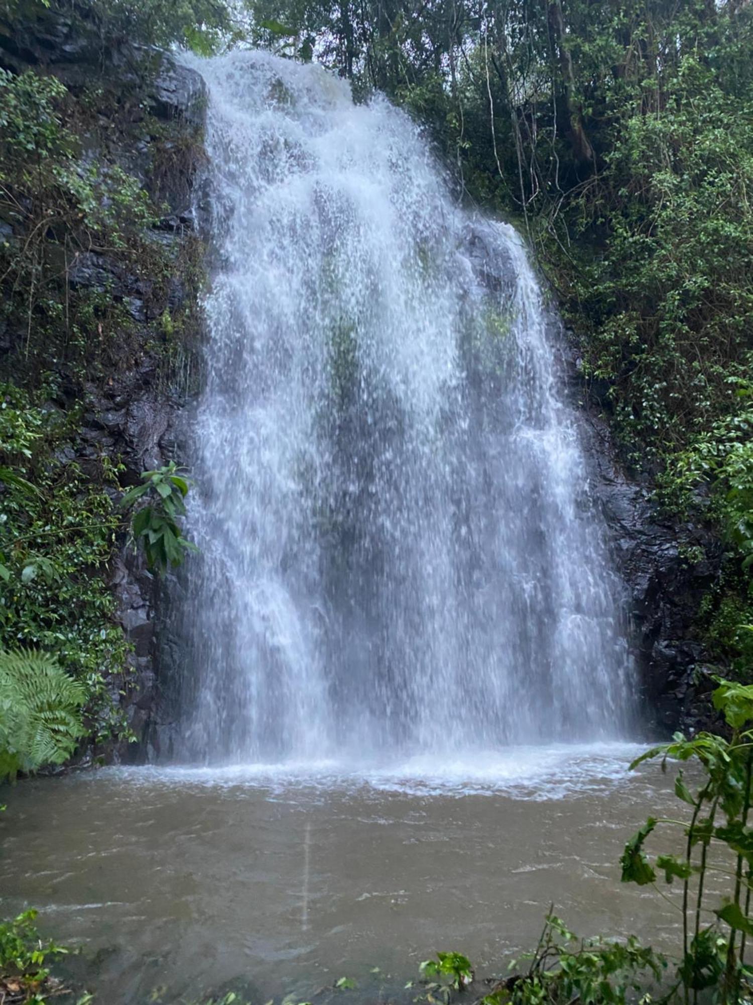 Nimbin Waterfall Retreat Esterno foto